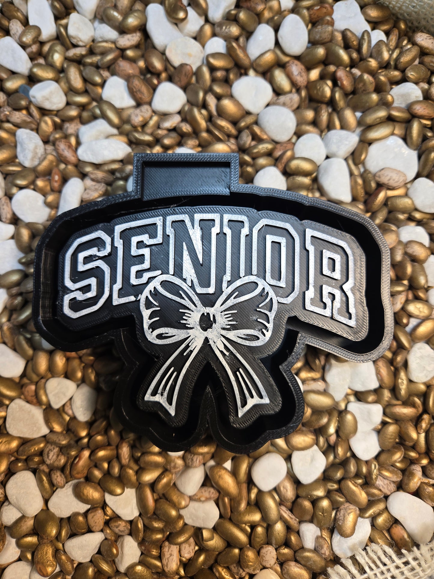 Senior Graduation Freshie Mold