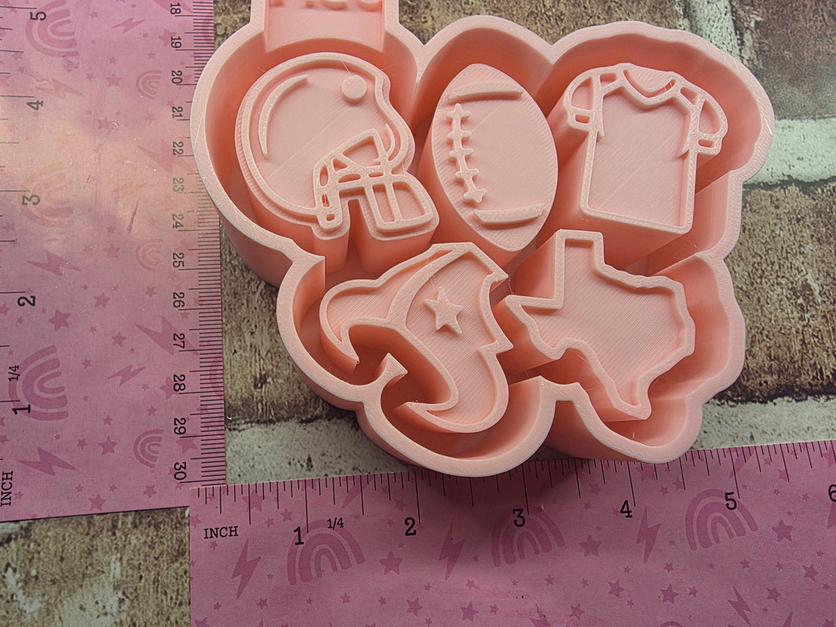 3617. Texans Charmy Freshie Mold