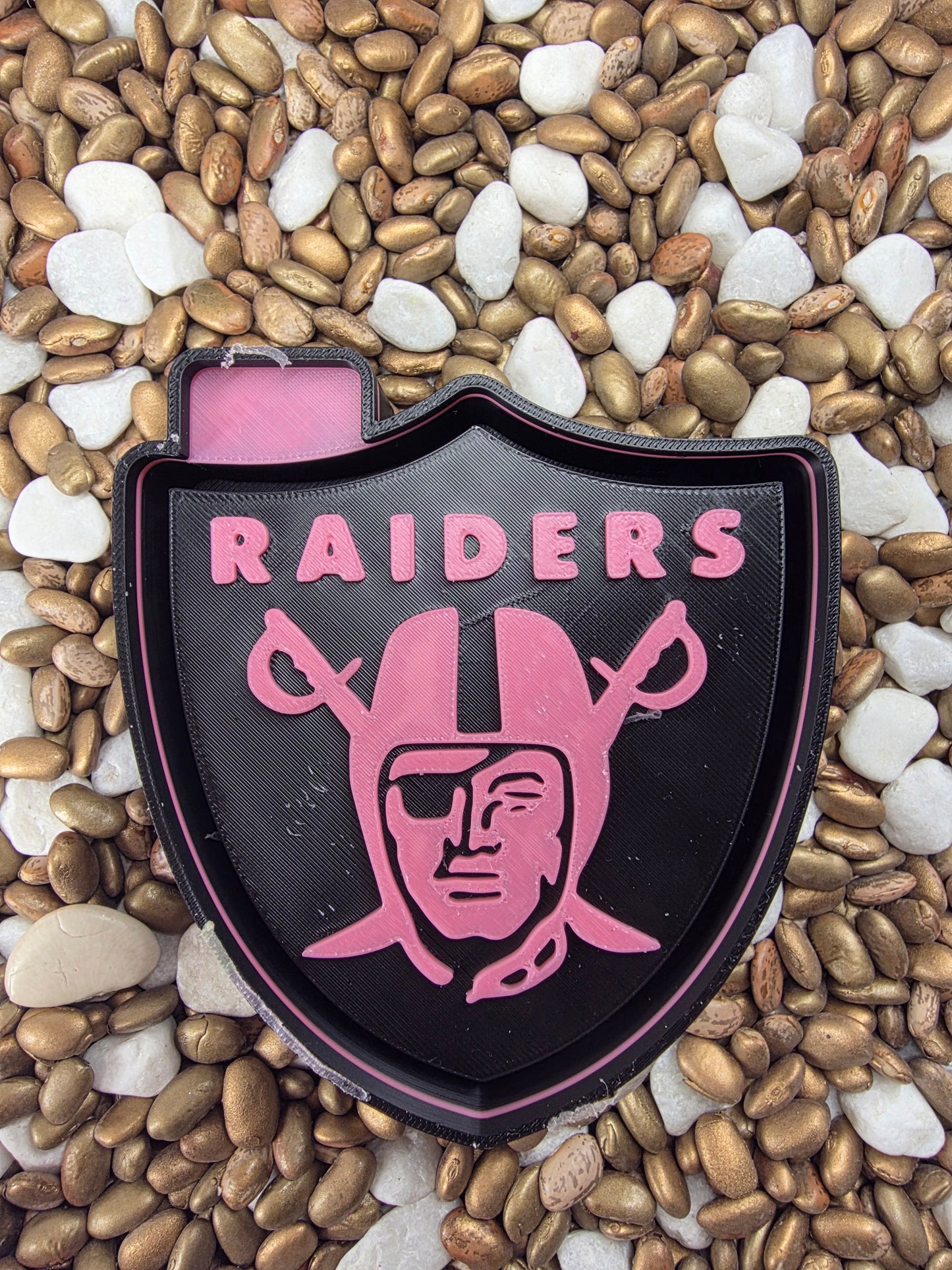 Raiders Freshie Mold