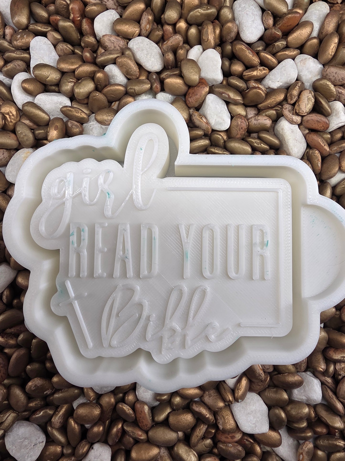 Read Your Bible Freshie Mold