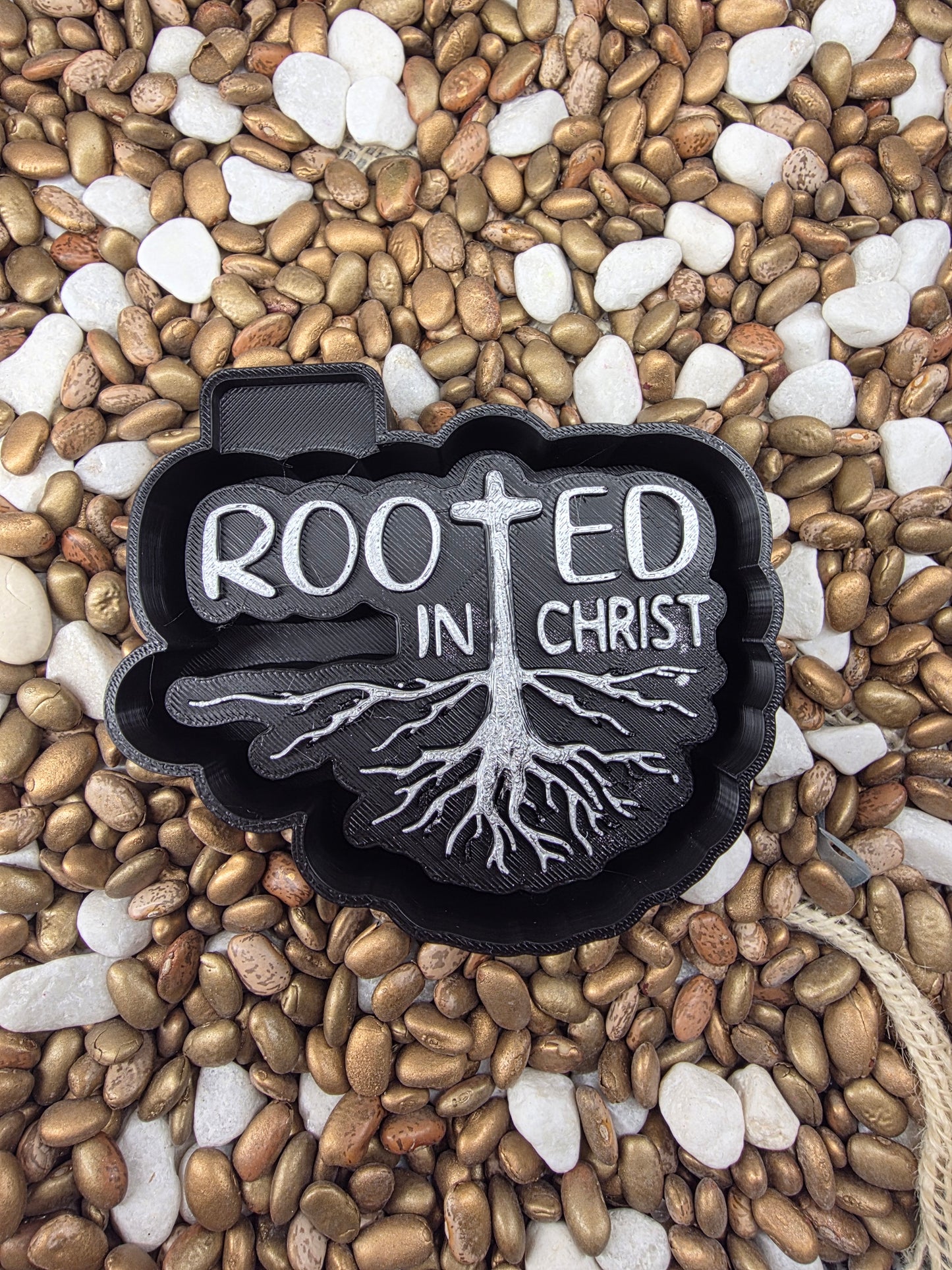 Rooted in Christ