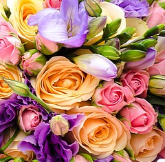 Boujee Fragrance Oil #0082