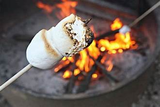 Toasted Marshmallow Fragrance Oil