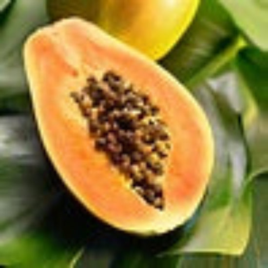 Papaya Paradise Cove Fragrance Oil