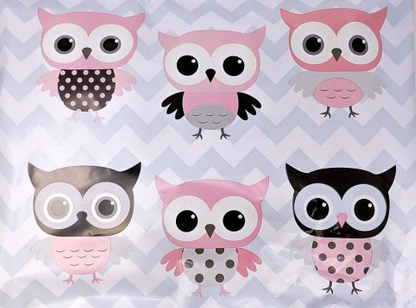 10 x 13 Owls Poly Mailers