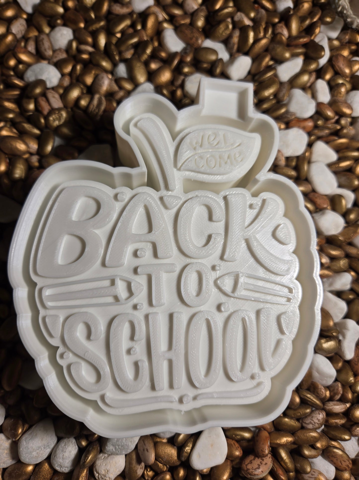 Back to School Mold