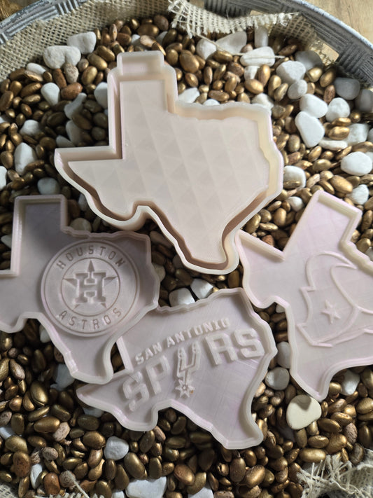 Texas with inserts mold