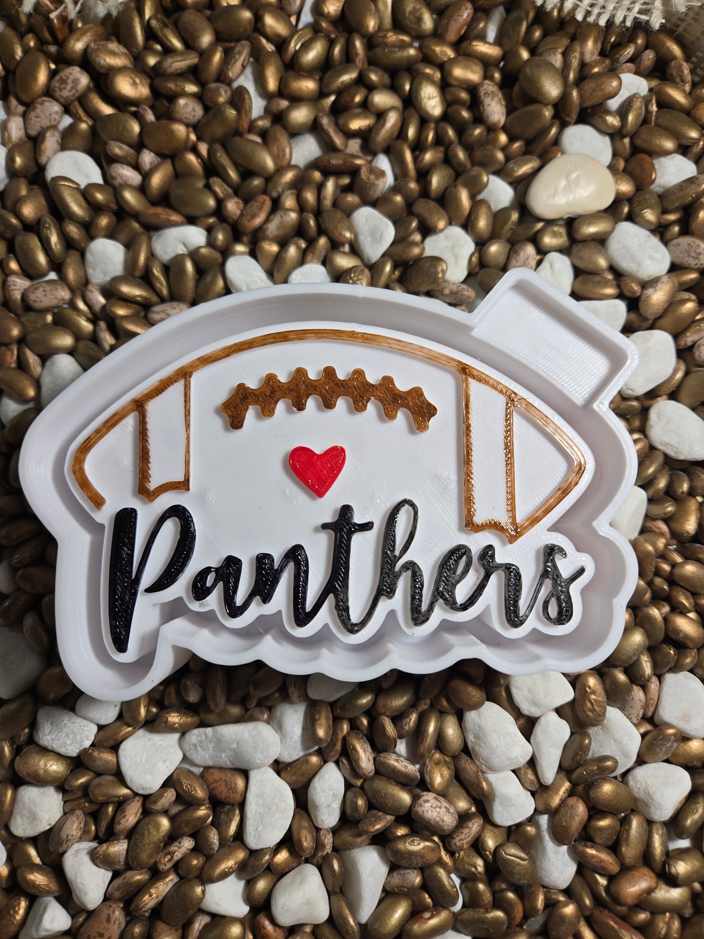 Panthers Football