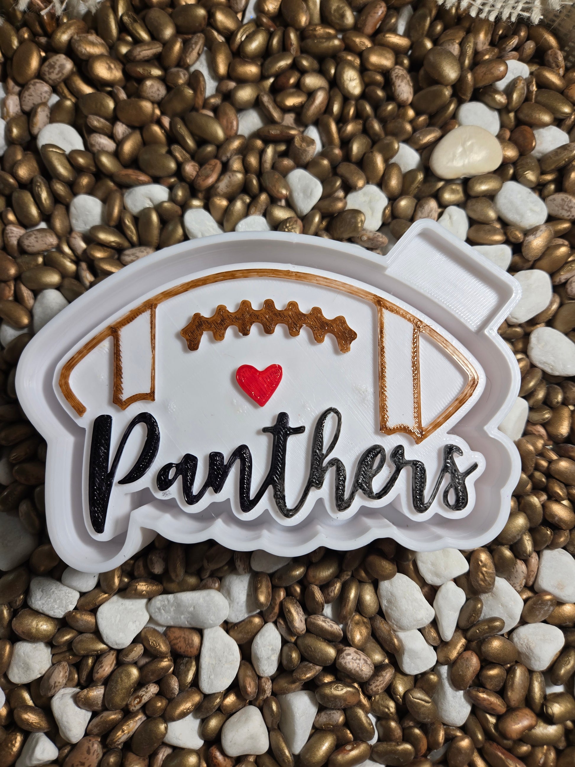 Panthers Football