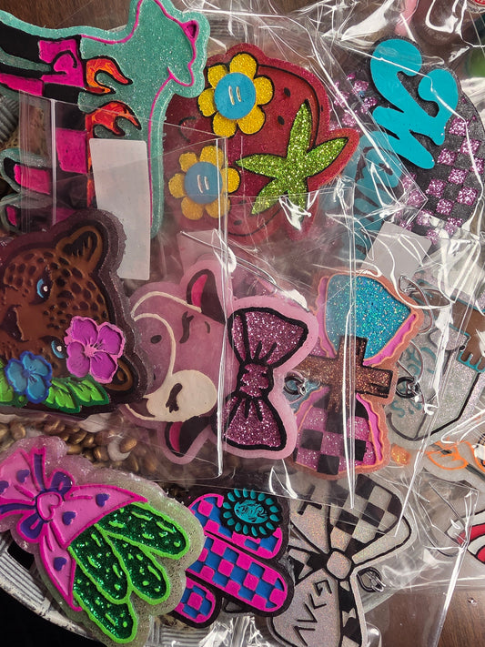 25 Painted Wholesale Random Freshies
