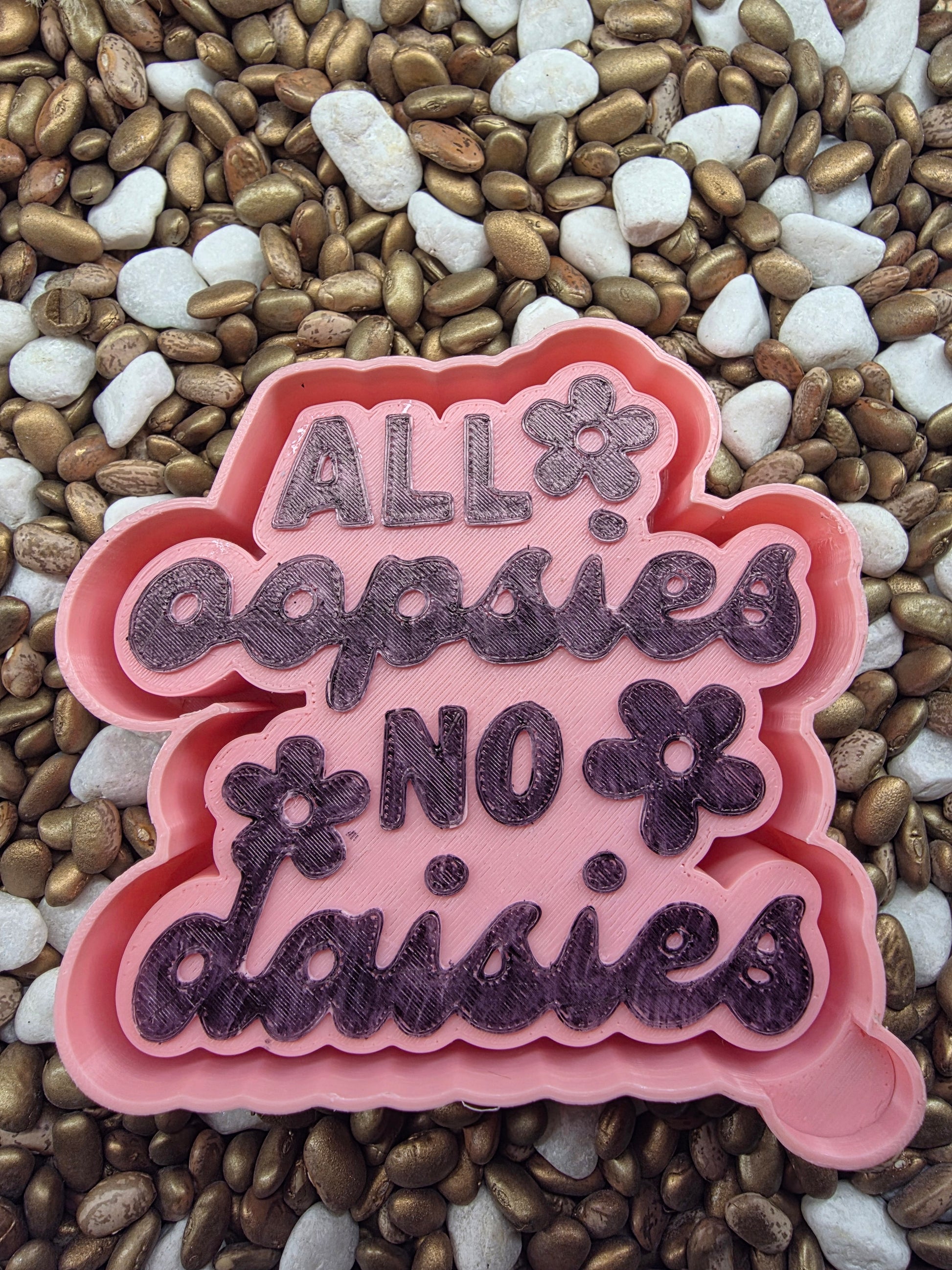  All Oopsies no Dasies Mold
