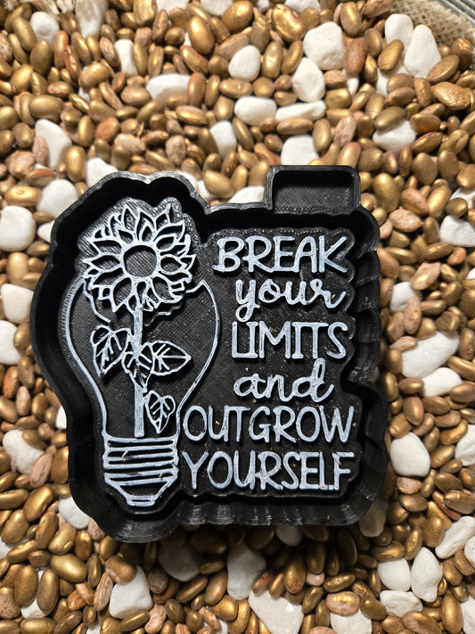 Break your Limits Freshie Mold