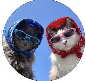 Round Cardstock Inserts -- Crazy Cats or Cows Collection