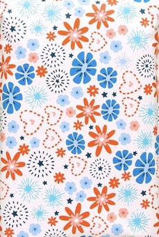 Fireworks  Poly Mailers