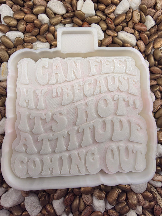 Its Hot Attitude Freshie Mold