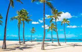 Waikiki Beach Fragrance Oil